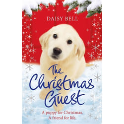 Hachette UK The Christmas Guest