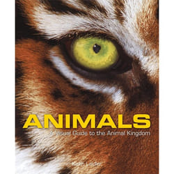 Hachette UK Animals Couverture rigide