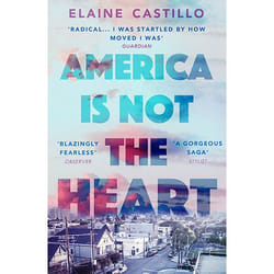 ISBN America Is Not the Heart livre
