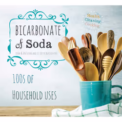 ISBN Bicarbonate of Soda, Cooking, Anglais, Livre broché, 256 pages
