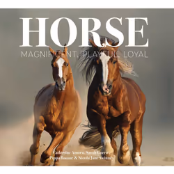ISBN Horse, Littérature, Anglais, Couverture rigide, 192 pages