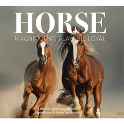 ISBN Horse livre Littérature Anglais Couverture rigide