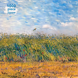 ISBN 9781786646361, Anglais, 1 pages