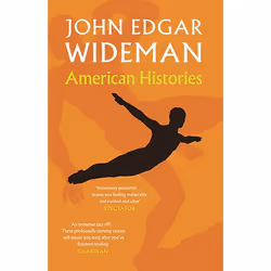 ISBN American Histories, Livre broché, 240 pages