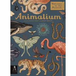 Allen &amp; Unwin Animalium, Anglais, Couverture rigide, 112 pages