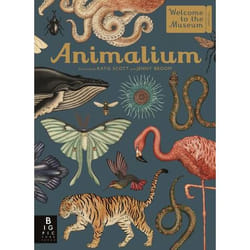 Allen & Unwin Animalium Couverture rigide