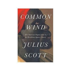 ISBN Common Wind: Afro-American Currents in the Age of the Haitian Revolution livre histoire Anglais