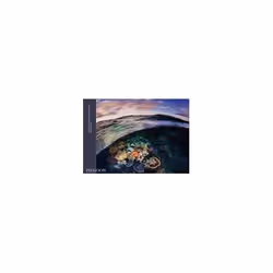 ISBN 9781838663186, Anglais, Couverture rigide, 128 pages