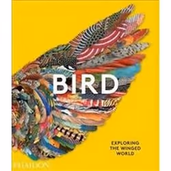 ISBN Bird : Exploring the Winged World, Art & design, Anglais, 352 pages