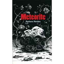 ISBN Meteorite livre Anglais Livre broché 64 pages