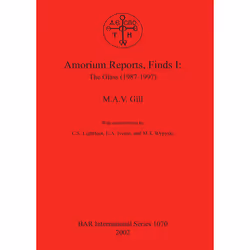 ISBN 9781841714493, Anglais, 285 pages