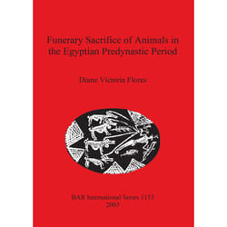 ISBN 9781841715230 livre Anglais 173 pages