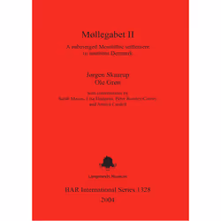 ISBN 9781841716732, Anglais, 211 pages