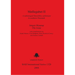 ISBN 9781841716732 livre Anglais 211 pages