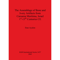 ISBN 9781841718958 livre Anglais 412 pages