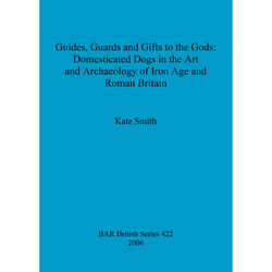 ISBN 9781841719863 livre Anglais 99 pages