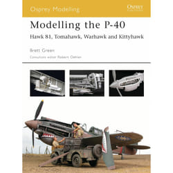 ISBN Modelling the P-40