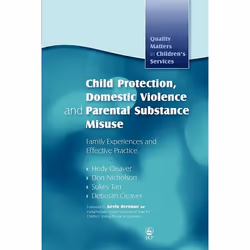 UBC Press Child Protection, Domestic Violence and Parental Substance Misuse, Livre broché, 232 pages