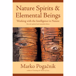 ISBN Nature Spirits & Elemental Beings, Anglais, Livre de poche, 320 pages