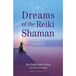 ISBN Dreams of the Reiki Shaman Livre de poche