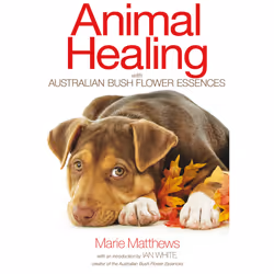 ISBN Animal Healing with Australian Bush Flower Essences, Anglais, Livre de poche, 192 pages