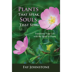 ISBN 9781844097517