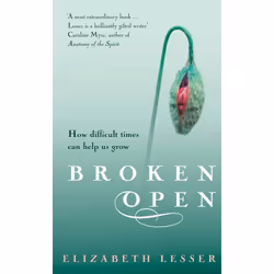 ISBN Broken Open, Anglais, Livre broché, 336 pages