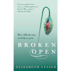 ISBN Broken Open