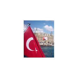 ISBN 9781845112325 livre Anglais Couverture rigide