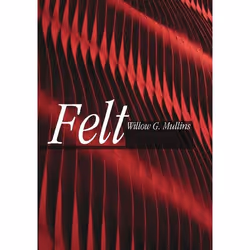 ISBN Felt, Anglais, Couverture rigide, 196 pages