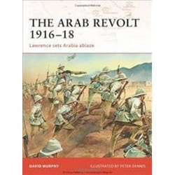 ISBN Arab Revolt 1916-18 : Lawrence Sets Arabia Ablaze livre histoire Anglais