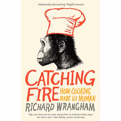 Allen & Unwin Catching Fire, nourriture & boisson, Anglais, Livre broché, 320 pages