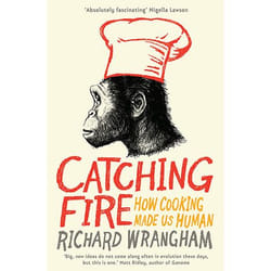 Allen & Unwin Catching Fire livre nourriture & boisson Anglais Livre broché 320 pages