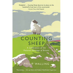 Allen & Unwin Counting Sheep livre histoire Anglais