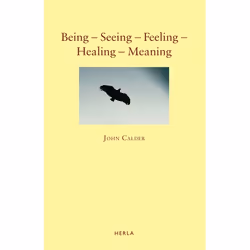 ISBN Being – Seeing – Feeling – Healing – Meaning (New Poems 1999-2009), Anglais, Livre broché, 218 pages