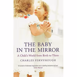 Allen & Unwin The Baby in the Mirror, Psychologie, Anglais, Livre broché, 288 pages