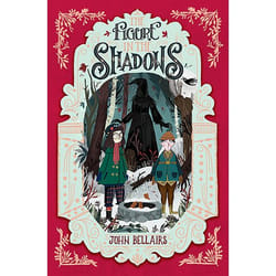 ISBN The Figure in the Shadows - The House With a Clock in Its Walls 2 livre