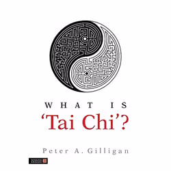 UBC Press What is 'Tai Chi'?, Livre broché, 224 pages