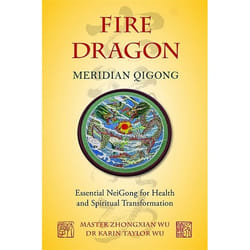UBC Press Fire Dragon Meridian Qigong livre Livre broché