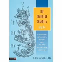 UBC Press The Divergent Channels - Jing Bie, Livre broché