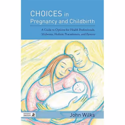 UBC Press Choices in Pregnancy and Childbirth, Livre broché, 368 pages