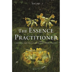 UBC Press The Essence Practitioner livre Livre broché
