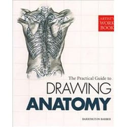 ISBN Artist's Workbook: Anatomy