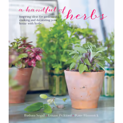 ISBN A Handful of Herbs, Anglais, Couverture rigide, 128 pages