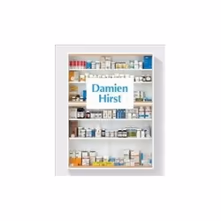 ISBN Damien Hirst, Art & design, Anglais, 224 pages
