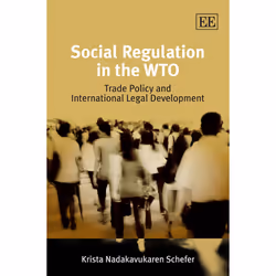 ISBN 9781849800785, Anglais, Livre broché, 336 pages