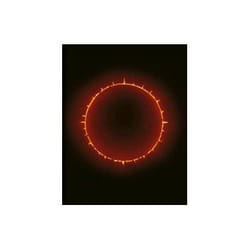 ISBN Dark Room livre Photographie Anglais Couverture rigide