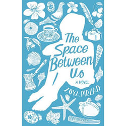 Allen & Unwin The Space Between Us livre fiction litéraire Anglais Couverture rigide
