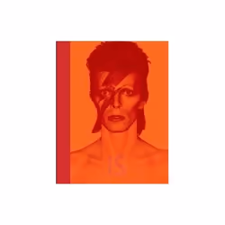 ISBN David Bowie Is, Musique, Anglais, Couverture rigide, 288 pages