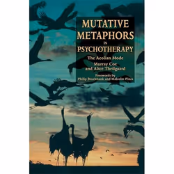 UBC Press Mutative Metaphors in Psychotherapy, Livre broché, 308 pages